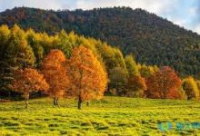 手机装v2ray-安卓Android手机加速器推荐