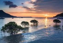 手机如何使用v2ray-安卓Android手机加速器推荐