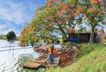 v2ray苹果手机端怎么设置-安卓Android手机加速器推荐