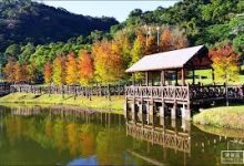 苹果手机可以用v2ray吗-安卓Android手机加速器推荐