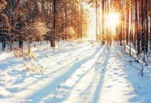 手机v2ray-安卓Android手机加速器推荐