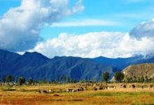 手机v2ray怎么使用-安卓Android手机加速器推荐