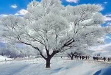 手机用什么v2ray软件-安卓Android手机加速器推荐