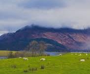 v2ray电脑快手机慢-安卓Android手机加速器推荐