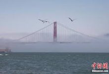 vpn破解版下载安卓版-安卓Android手机加速器推荐