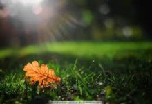 vpn365 安卓-安卓Android手机加速器推荐