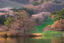 海豚vpn安卓-安卓Android手机加速器推荐