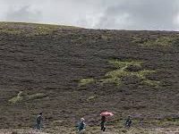 日本vpn安卓-安卓Android手机加速器推荐