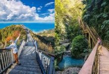 vpn安卓免费哪个好-安卓Android手机加速器推荐