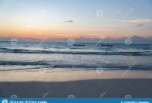 安卓免费vpn下载-安卓Android手机加速器推荐