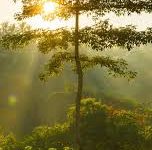 还在使用免费安卓vpn-安卓Android手机加速器推荐