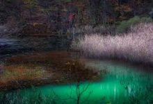 天行vpn安卓下载-安卓Android手机加速器推荐