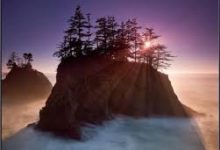 海豚畅游vpn安卓版下载-安卓Android手机加速器推荐