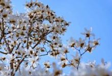 vpn代理免费版安卓-安卓Android手机加速器推荐